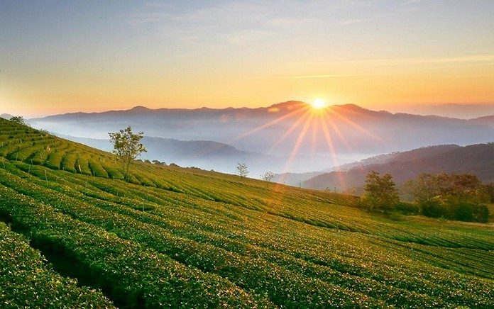 Đất nông nghiệp