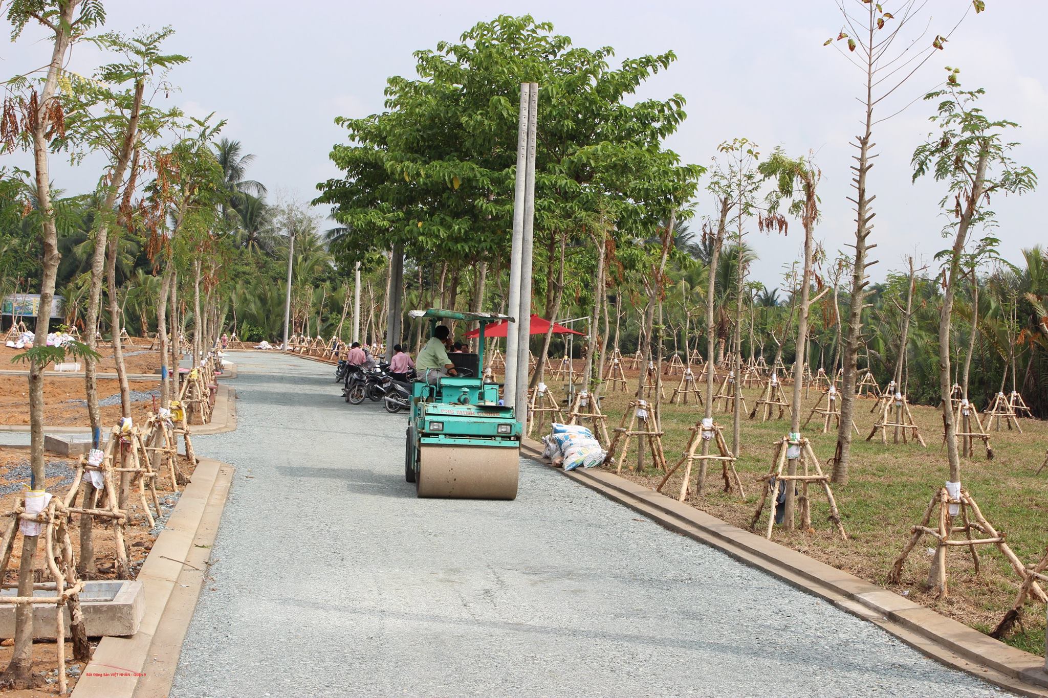 Dự án Việt Nhân Diamond Riverside (Khu dân cư Đường 8 Lò Lu)