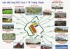 Tiện ích đất nền trạm y tế trường thạnh