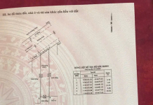 A37 Tín Hưng đường số 1 chỉ 50tr/m2